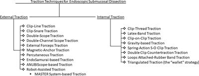 Advancing endoscopic traction techniques in endoscopic submucosal dissection